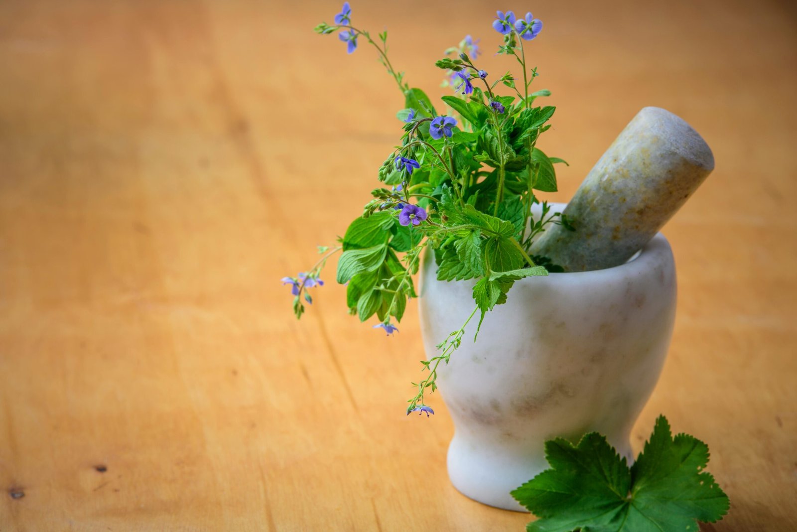 Micronutrition et rééquilibrage alimentaire naturopathie à Saint Affrique