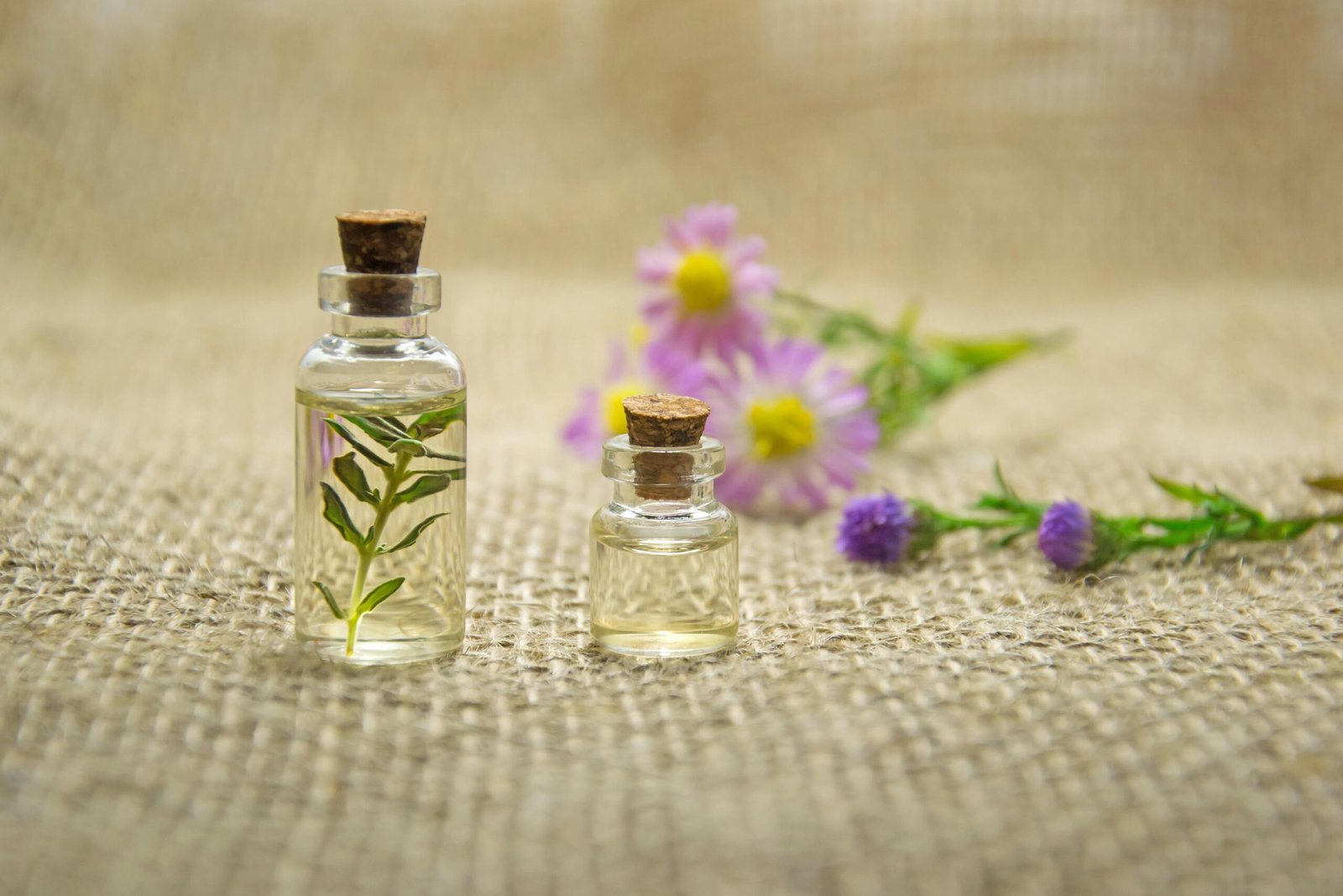 Huiles essentielles et plantes pour la gestion du stress à Saint Affrique